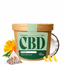 Infusettes CBD Rooibos Exotique BYCDS 20 sachets bio fruités