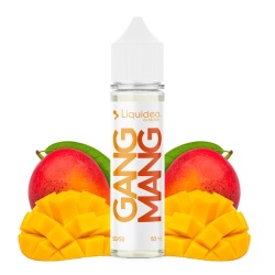 e-liquide Gang Mang Liquideo Evolution 50ml