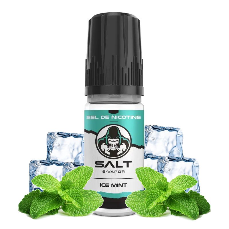 Eliquide sel de nicotine Ice Mint Salt E-Vapor 10 ml