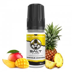 Eliquide sel de nicotine Mangue Ananas Salt E-Vapor 10 ml