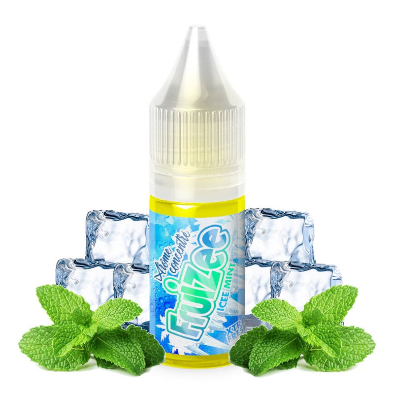 Arôme concentré Icee Mint Fruizee