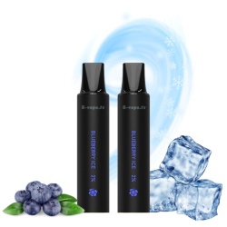 Blueberry Ice - 2 pods pour puff Rebar Next C2 - Lost Vape
