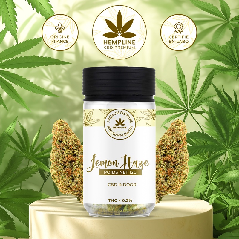 Fleur de CBD Lemon Haze Hempline 12g Fleur de CBD Lemon Haze Hempline 12g
